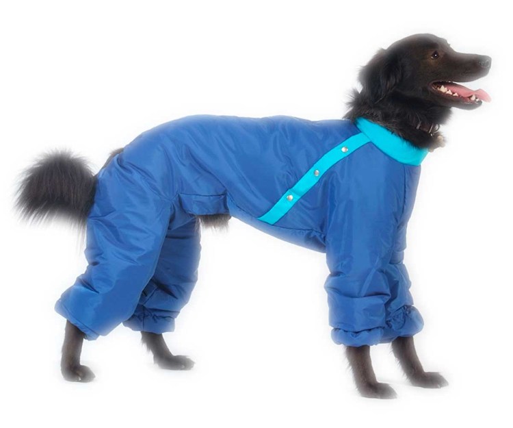 Комбинезон Догмода Winter сука 2