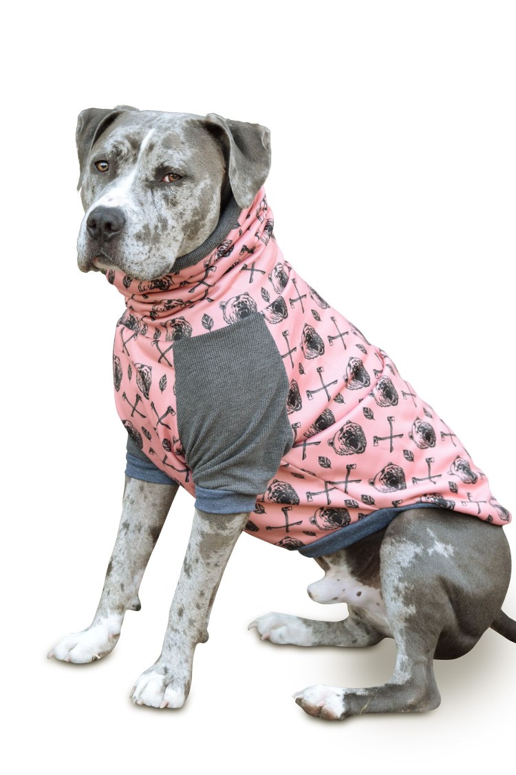 Одежда для собак