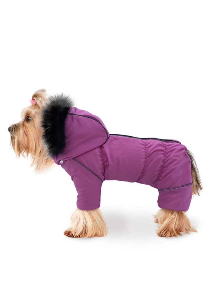 Адидог одежда для собак