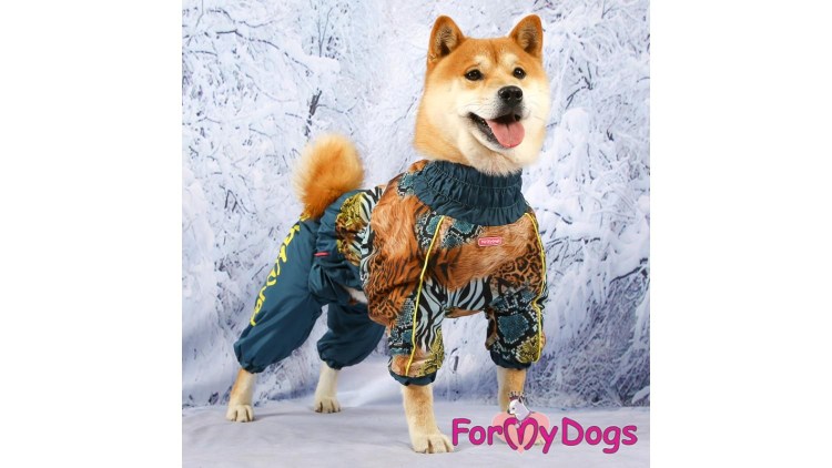 Зоофантазия 4720 комбинезон-дождевик лабрадор (сука)