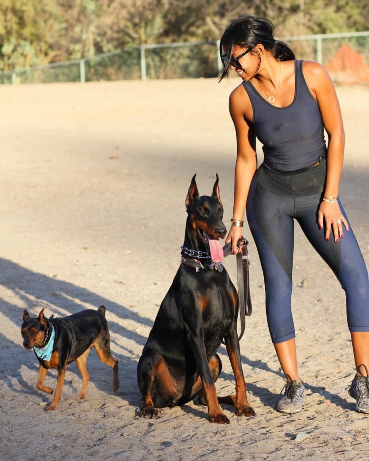 Доберман Рокси