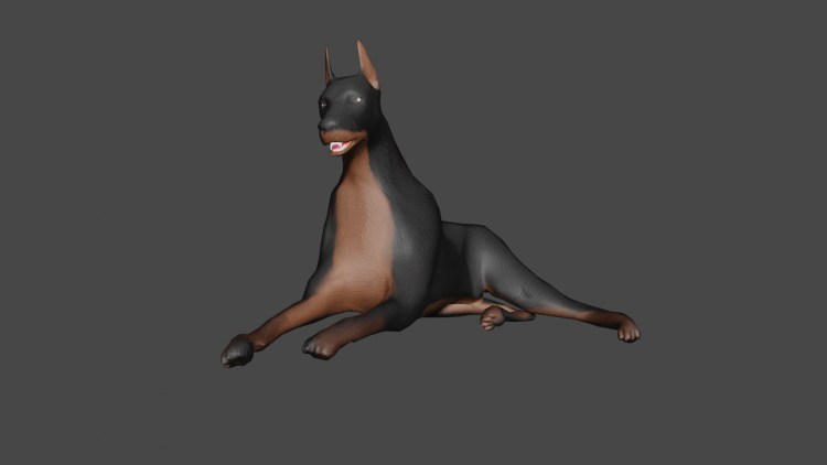 Немецкий пинчер и Доберман