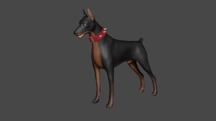 Доберман злой