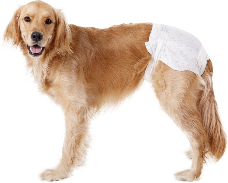 Трусы для собак многоразовые absorb Osso