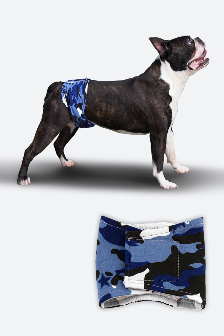 Трусики для мелких пород собак