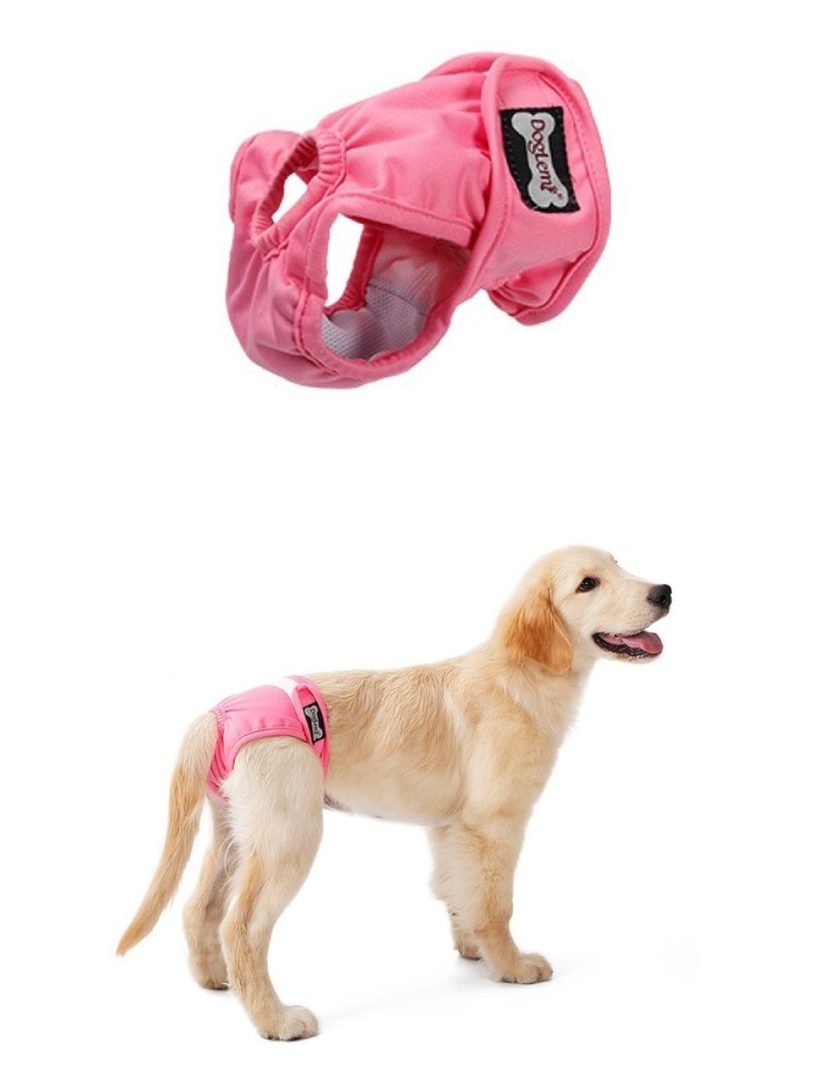 Штанишки для собак