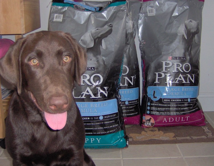 Корм Pro Plan лабрадор