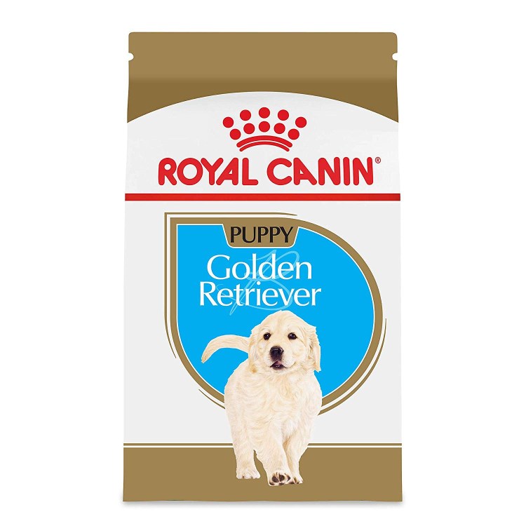Royal Canin Labrador