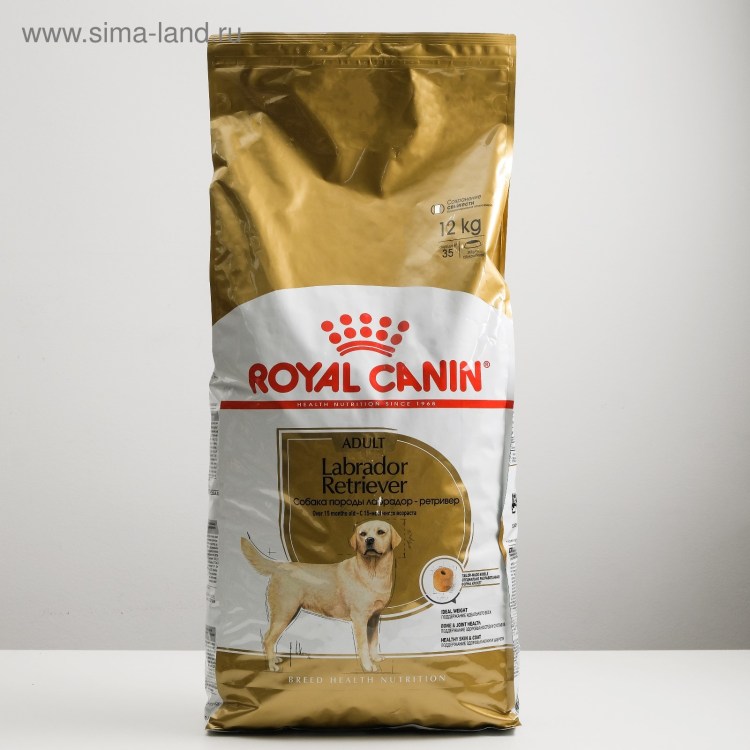 Собака кушает корм