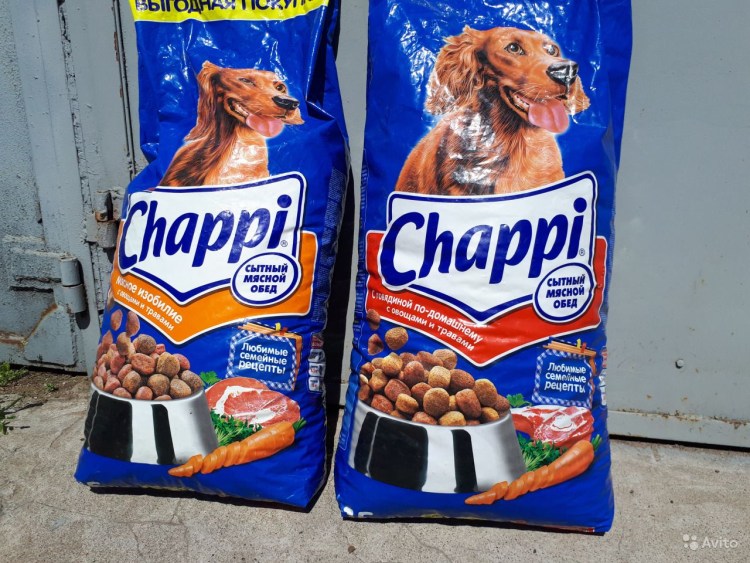 Золотистый ретривер Педигри