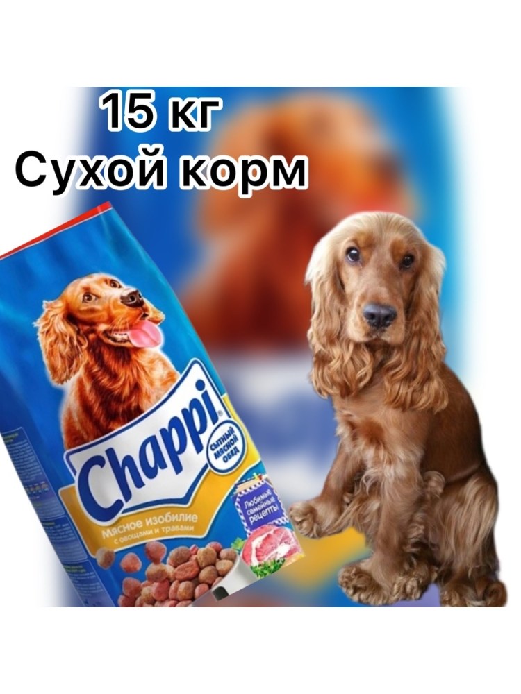 Сеттер лаверак