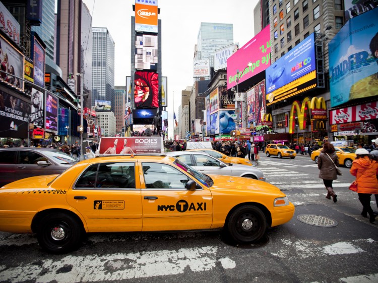 Доберман и Йоркширский терьер