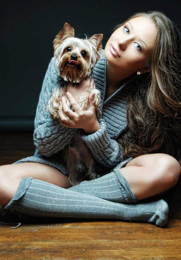 Вакцинирование Йоркширский терьер