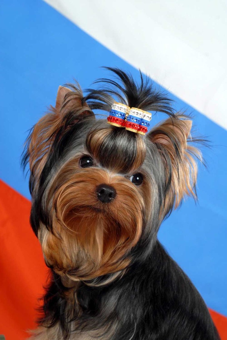 Стоун логистика логотип