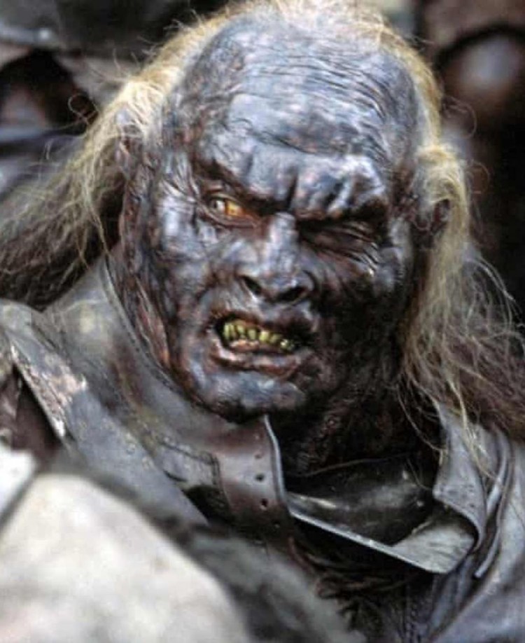 Собака байкер