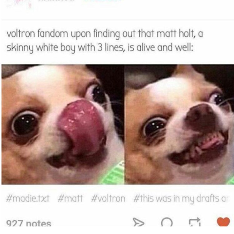 Упоротый доги