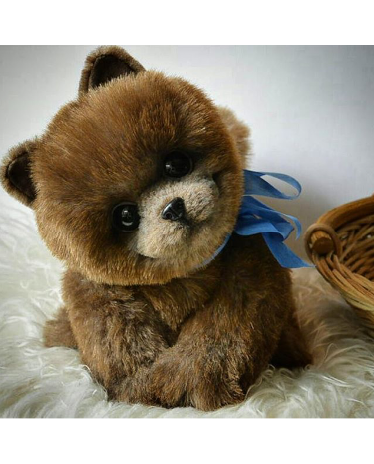 Собака похожая на медведя маленькая