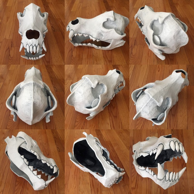 Череп волка сверху