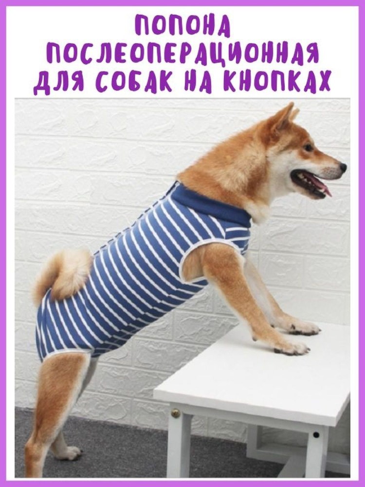 Попона для кошки