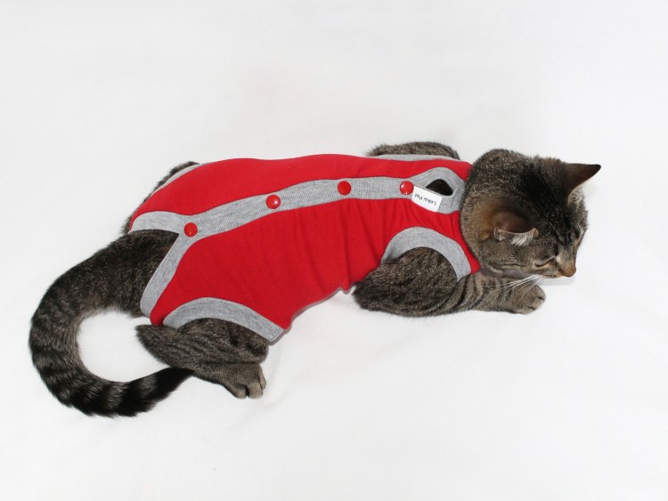 Попоны для собак средних пород