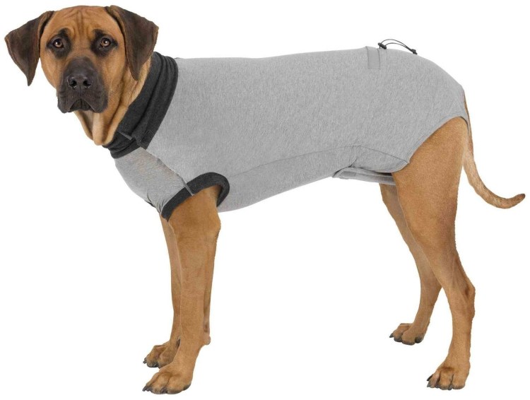 Выкройка попоны для кошки после стерилизации