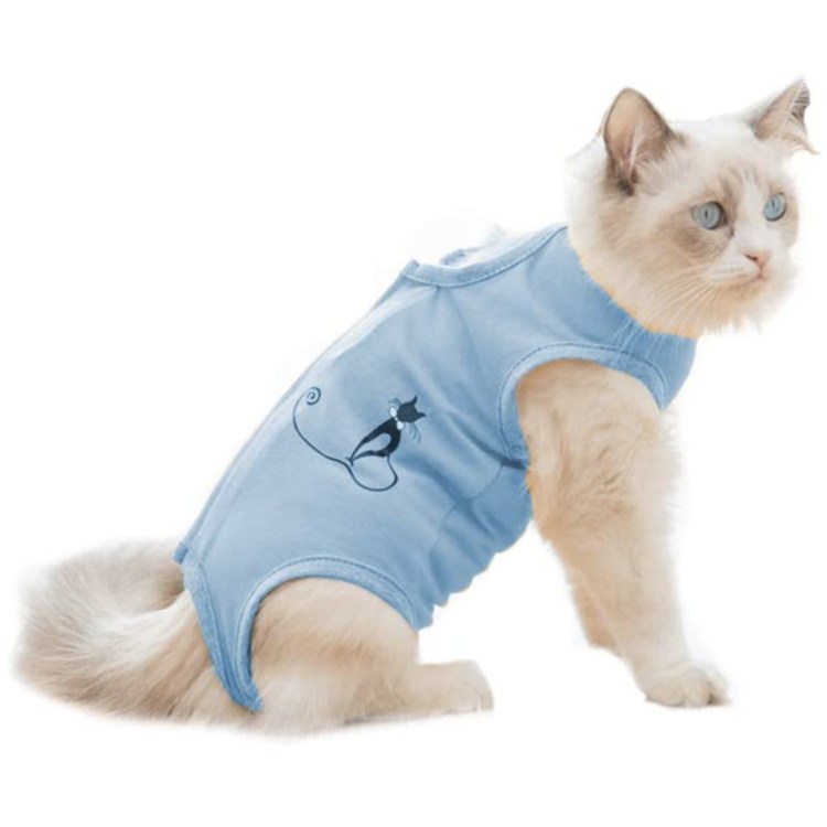 Послеоперационный бандаж для кошки после стерилизации