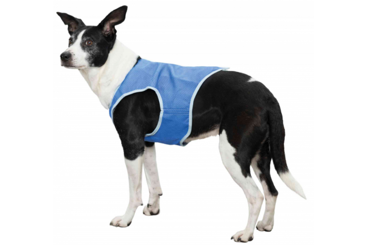 Комбинезон Arnydog для собак bull зеленый (s)