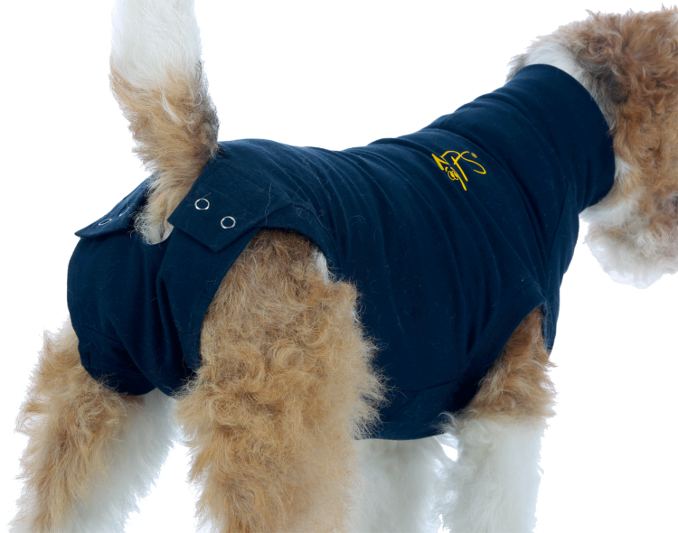 Послеоперационная попона для собак