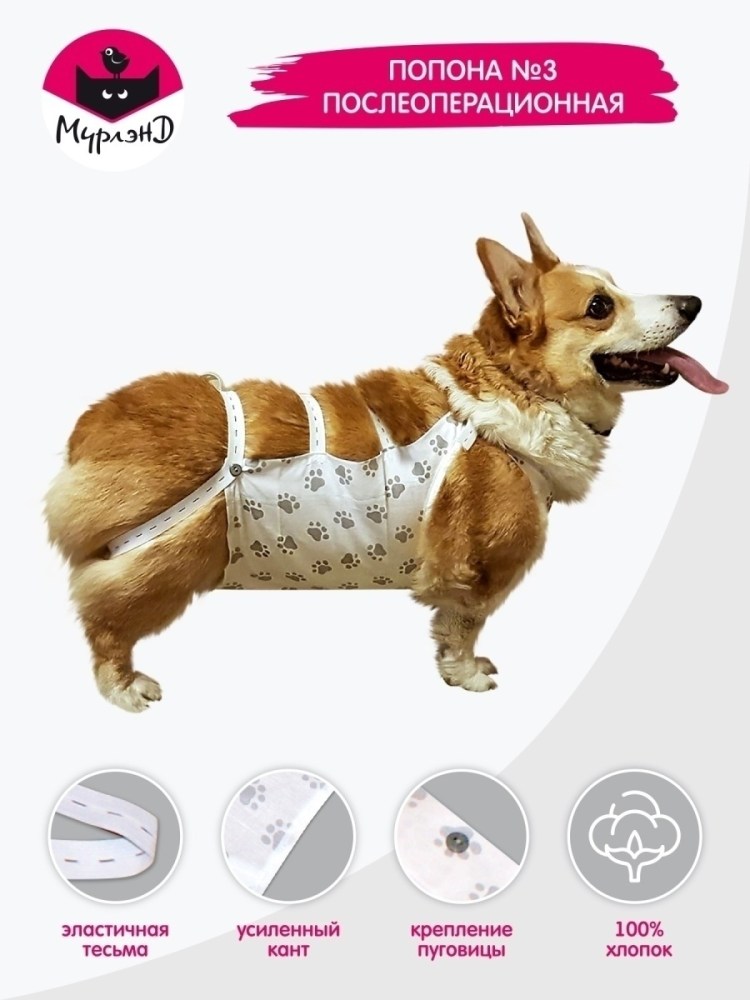 Схема попоны 3 для собак