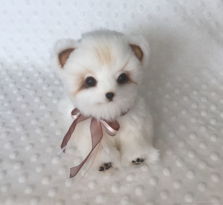 Беленькая плюшевая собака маленькая собачка