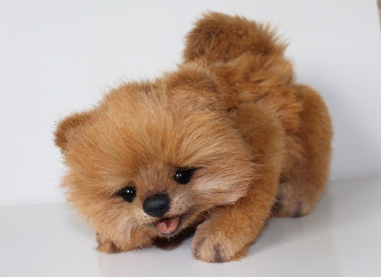 Шпицпу Оливер