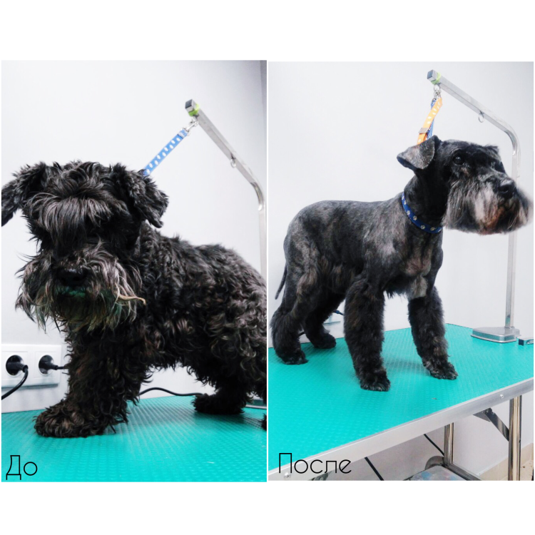 До и после тримминга