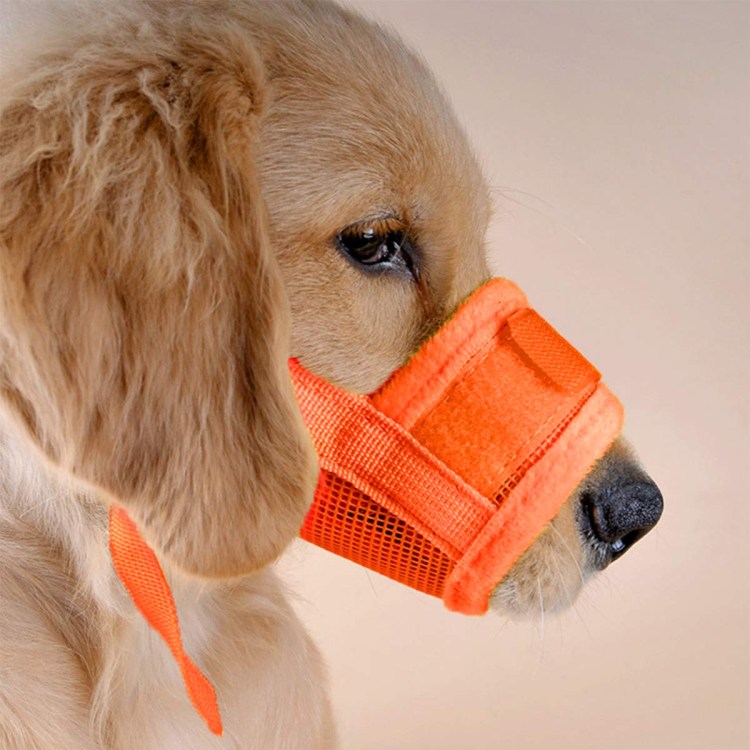 Намордник антиотрава