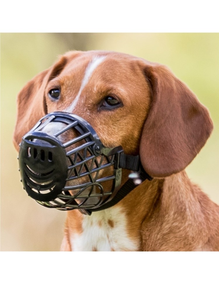 Намордник антилай