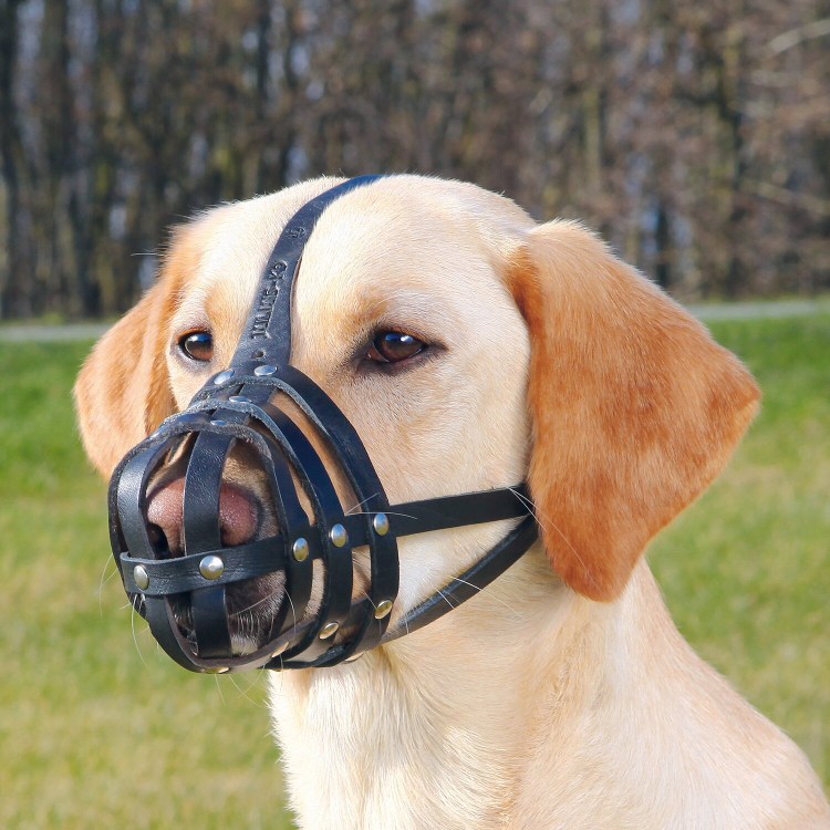 Намордник для собак Trixie Muzzle