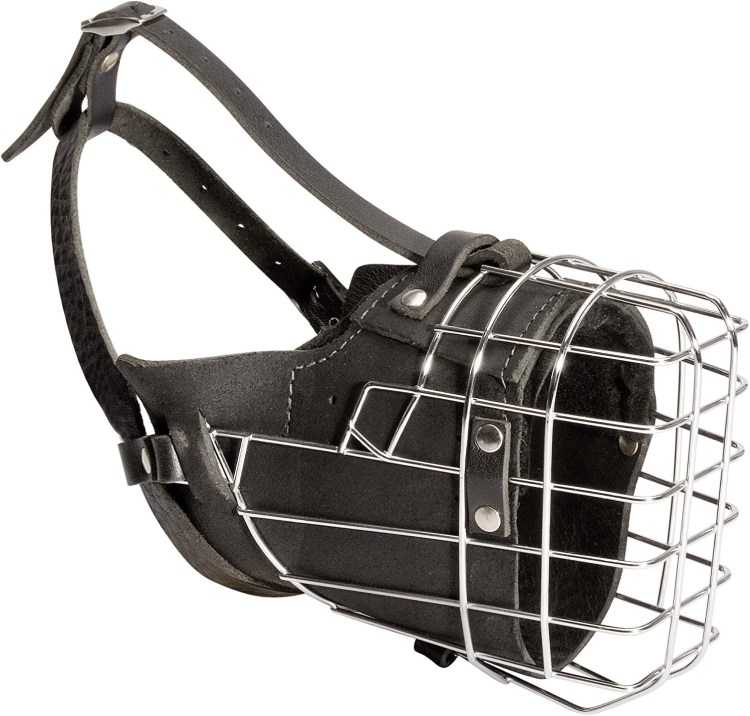 Намордник для Голден ретривера