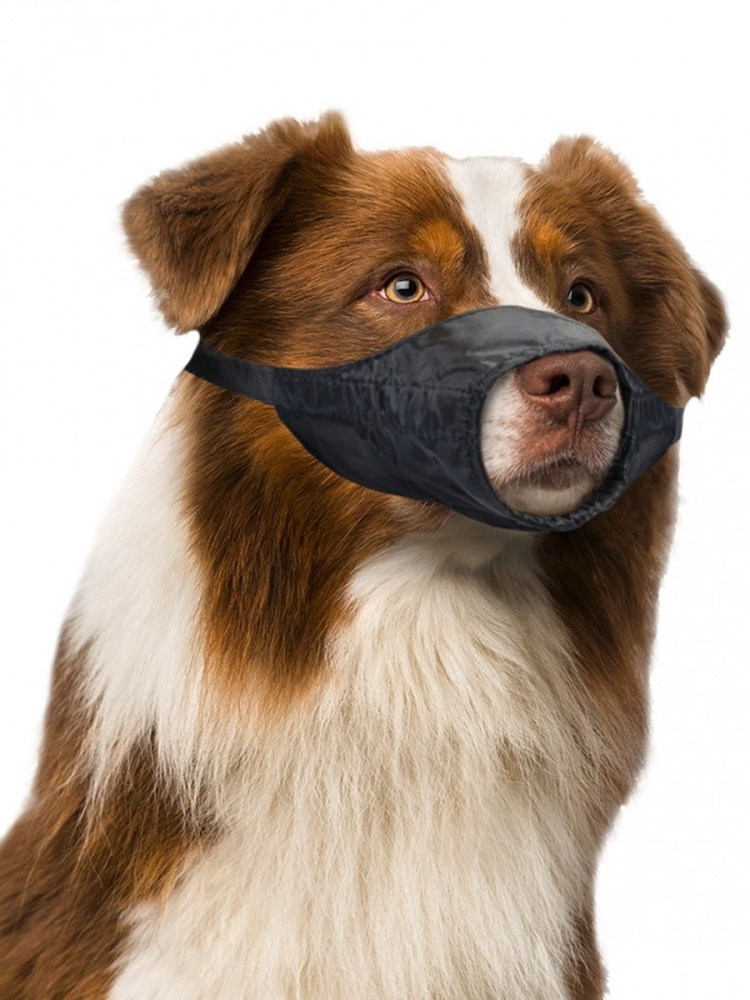 Намордник для собак Trixie l 17606, обхват морды 31 см