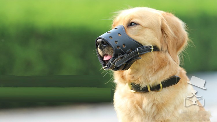 Намордник Ferplast Muzzle net мягкий