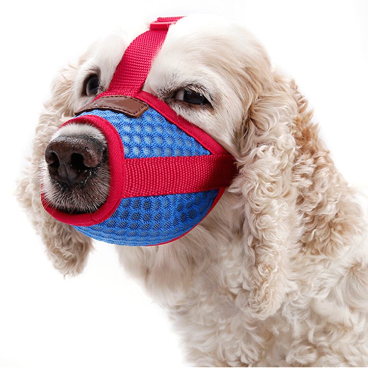 Дог плей намордник