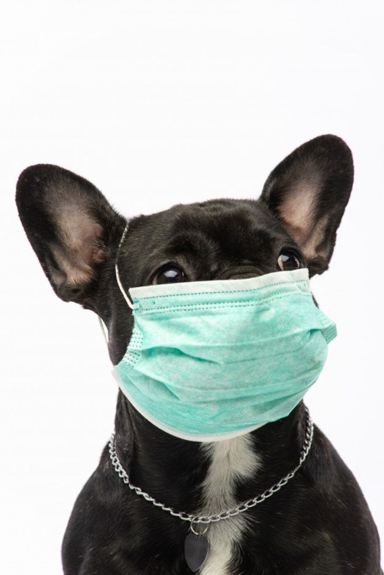 Намордник антилай для собак