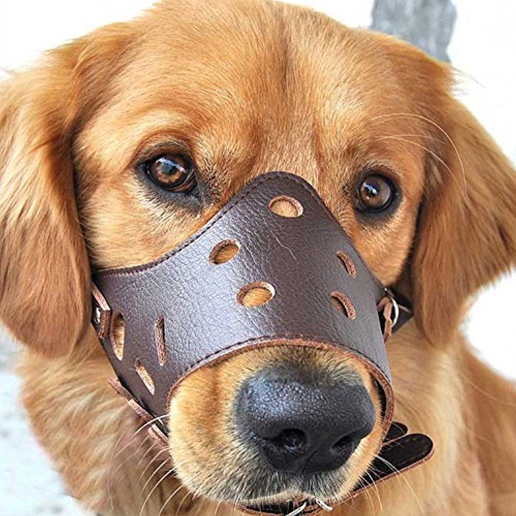 Намордник Trixie Muzzle Flex