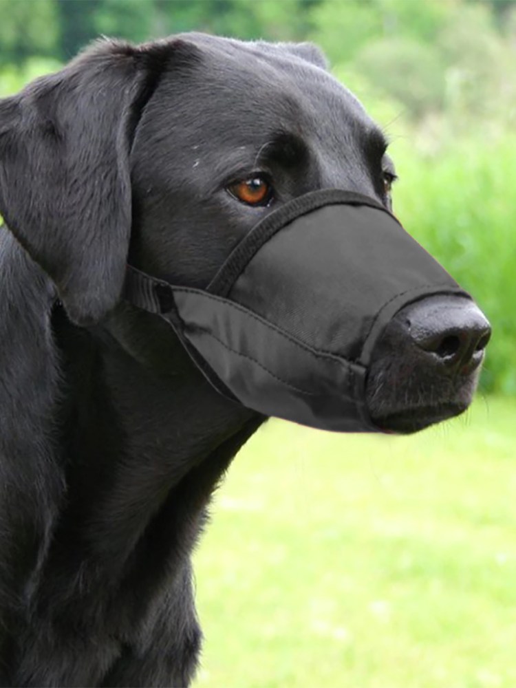 Намордник для собак прорезиненный