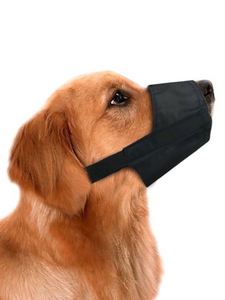 Намордник для таксы