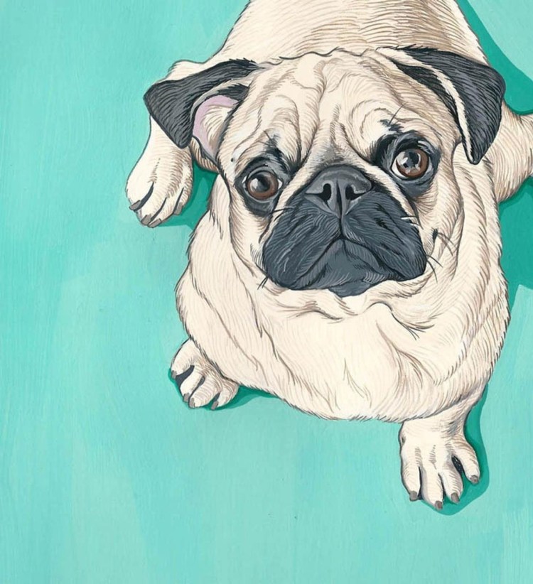 Мопс мультяшка