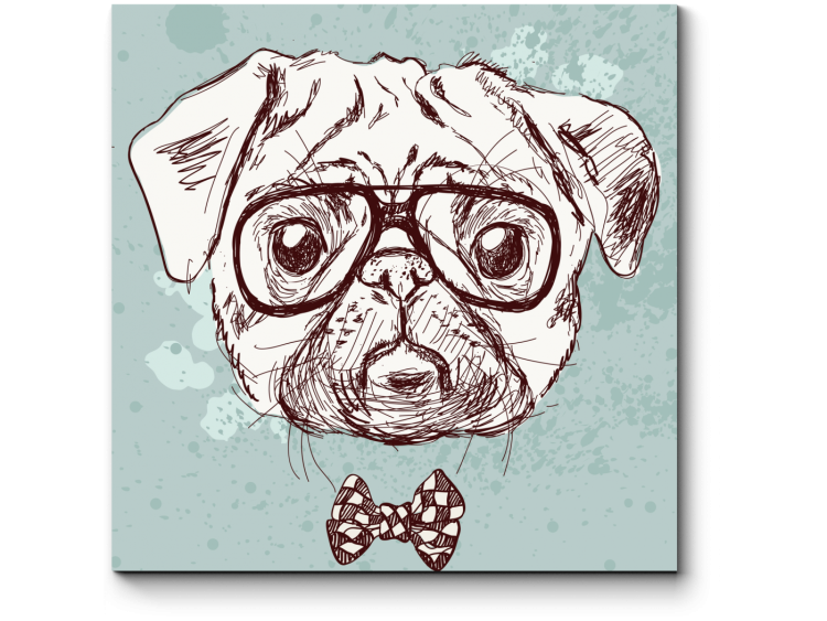 Мопс иллюстрация