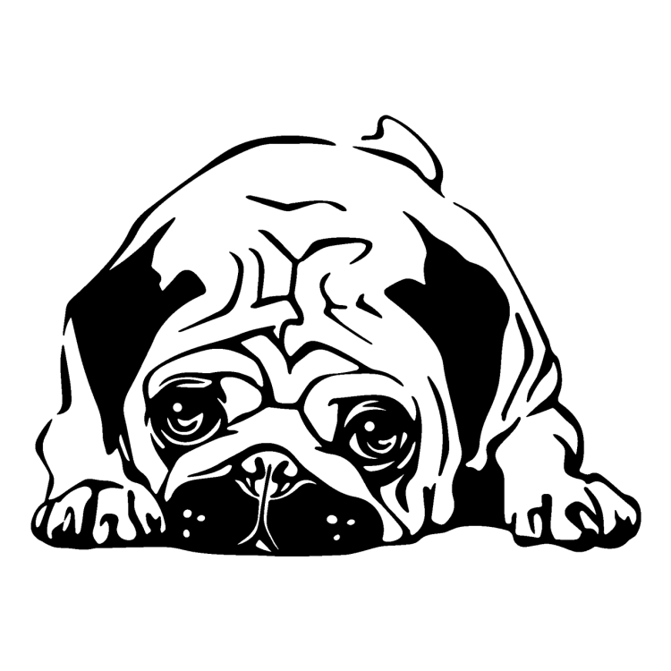 Мопс для срисовки