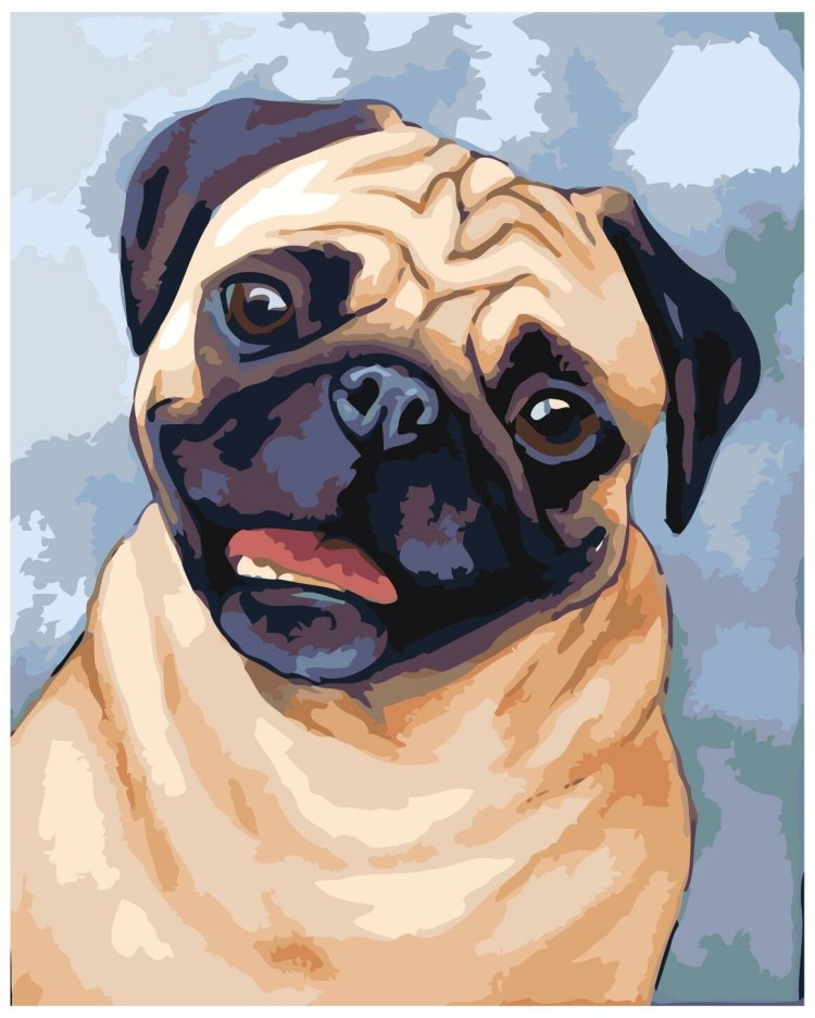 Мопс картинки для срисовки карандашом цветными