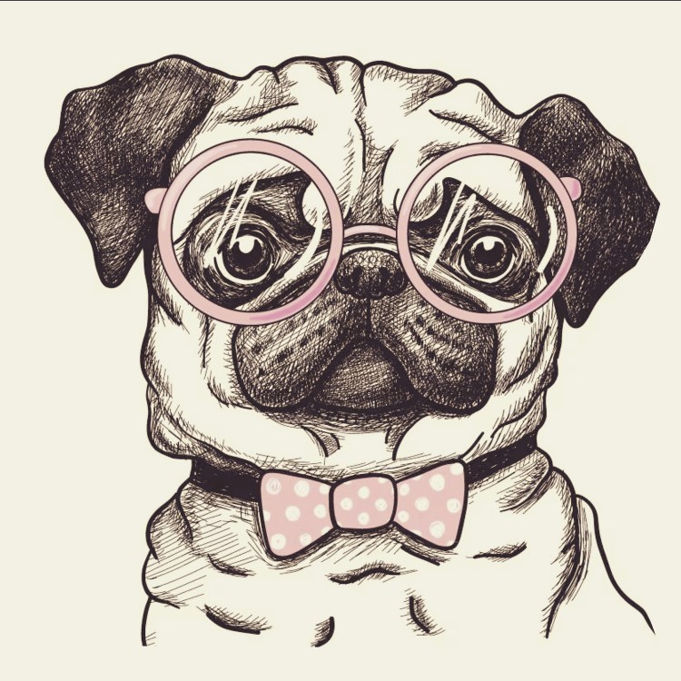 Морда МОПСА вектор