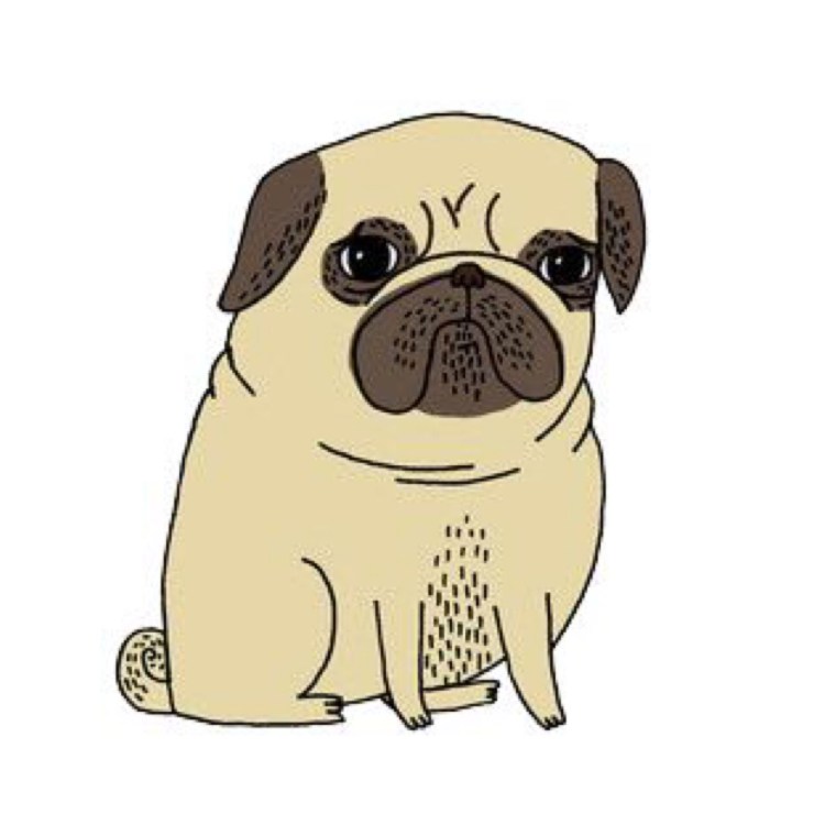 Мопс цветными карандашами