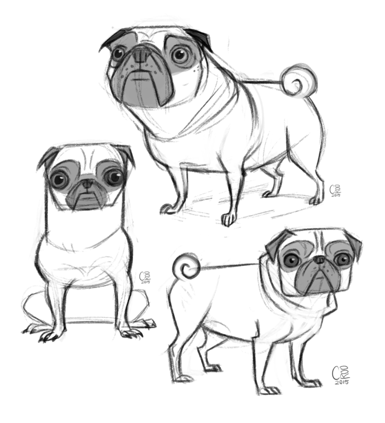 Мордочка МОПСА нарисовать